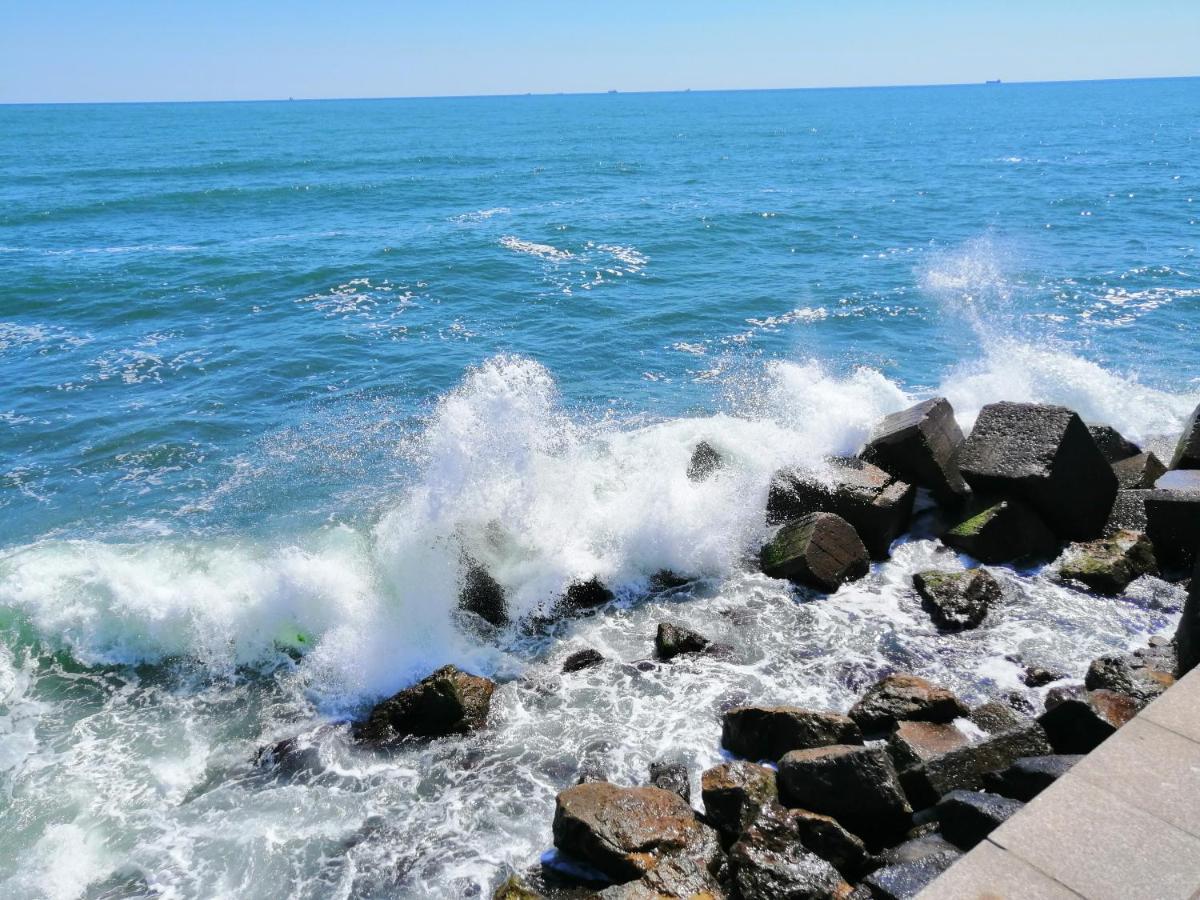 Promenada Apartment Constanta Bagian luar foto